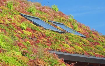 Barton Upon Irwell living roof systems
